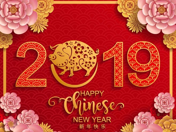 金豬送喜辭舊歲，雙志陪您慶新春！